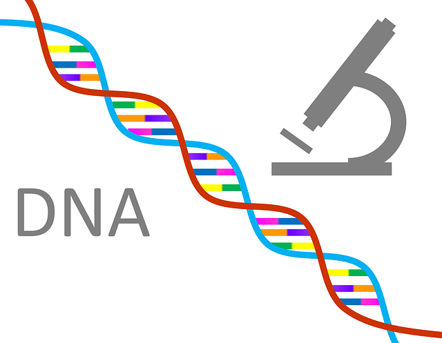 Immigration DNA Testing: Types of Immigration DNA Testing