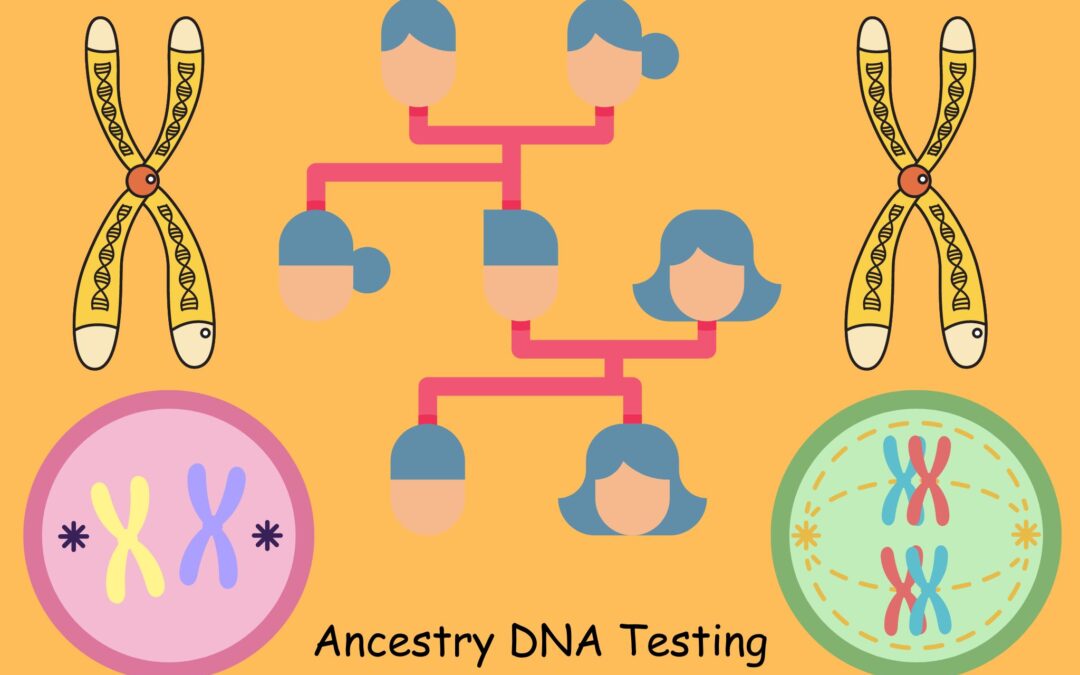 Ancestry DNA Testing